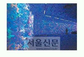 [그림과 詩가 있는 아침] 雨水/이병금