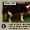 [바이오가 미래다] 한국 ‘不老長生’ 메카된다