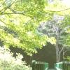 [조용섭의 산으路] 경남 하동군 지리산 대성골