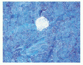 박복규의 ‘Image00’ 8월 2일까지 세종문화회관 미술관