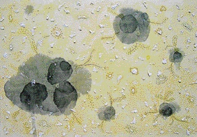 손형우의 ‘생 0504’ 10-16일 인사갤러리