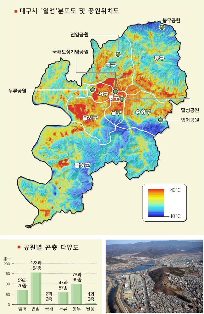 인공위성으로 건물과 숲 등의 표면온도를 측정한 대구시의 열섬 현상(위).실측 온도보다는 0.3도(녹지)∼2도(나지) 가량 높게 나온다고 한다.도심 한가운데 섬처럼 떠 있는 범어공원(아래 오른쪽)을 비롯,대구시 6개 도시공원의 곤충 다양도는 편차(아래 왼쪽)가 컸다.대부분의 공원들이 새·곤충 등 작은 생물들이 살기엔 미흡한 상태로 조사됐다. 