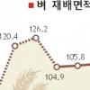 벼 재배면적 100만㏊이하로 줄어