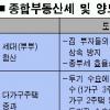 부동산대책 ‘세금 딜레마’