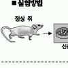 ‘치매 치료제’ 개발 멀지않았다