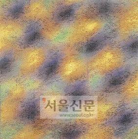 [그림과 시가 있는 아침] 교감/천양희