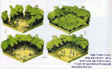 열대우림 파괴의 원인을 ‘원주민의 화전경작’으로만 설명한 디딤돌출판사의 교과서 표기 내용. 환경정의연구소 제공