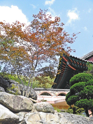 가을 단풍이 물든 내원암 전경.