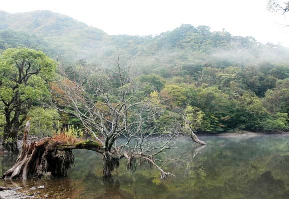 자연의 신비함과 아름다움이 느껴지는 주산지.