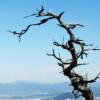 [조용섭의 산으路] 강원춘천 서면 ‘삼악산’