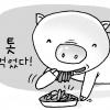 잘키운 돼지고기 쇠고기 부럽잖다