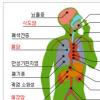 당신은 지금 암을 마시고 있다