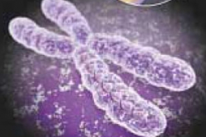 일본인 DNA 분석해보니 놀라운 결과가