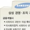 삼성 조직·경영개편 ‘급물살’ 타나
