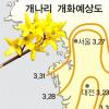 개나리꽃 3월16일 제주상륙