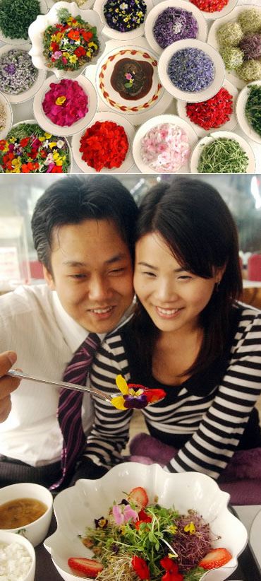 꽃밭에 앉아 꽃밥을 먹으면 세상 시름이 잠시 잊혀진다. 상수허브랜드에서 꽃밥을 먹으며 즐거워하고 있는 연인.