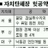 지자체長 헛 공약들