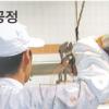 [주말탐방] 도축장