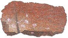 김정수,‘AZALEA’  29일부터 4월4일까지 서울 관훈동 인사아트센터 4월6일부터 27일까지 화동 갤러리 ANN