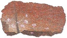 [그림과 詩가 있는 아침] 별/허형만