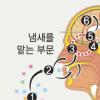 꽃향기를 맡으면 기분이 좋아질까