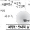 달아난 입맛… 산더덕 어때요?