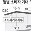 소비심리 석달째 내리막