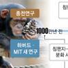 인류·침팬지 분화 400만년 걸렸다