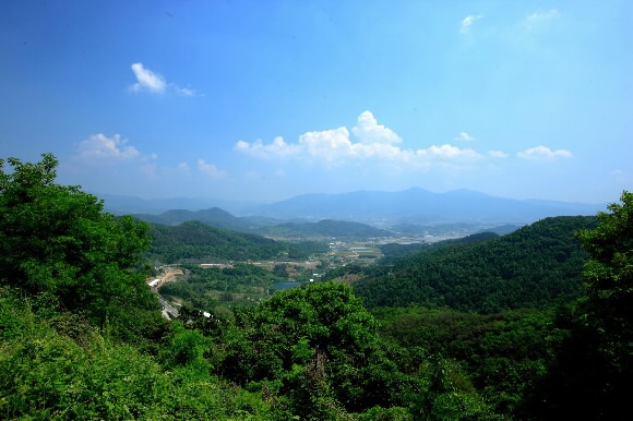 청도군 화양읍 유등리 연지와 군자정(君子亭). 철성 이씨 문중 소유인 연지는 한여름이면 만개한 연꽃으로 장관을 이룬다.