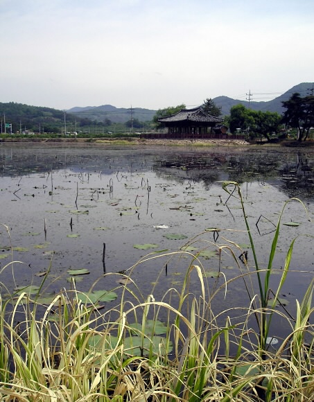 팔조령 봉화산 정상에서 바라본 청도시가지 모습. 못 오른쪽 논 가장자리로 난 길이 옛길이며, 왼쪽 길은 팔조령 터널로 연결되는 도로이다.
