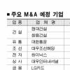 하반기 M&A시장 달아오른다