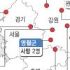 복구 두달만에 터진 안양천 둑…인재냐 천재냐
