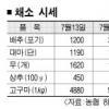 채소값 폭등