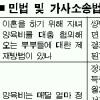 양육비 안주면 과태료·감치명령