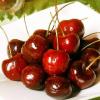 달콤한 맛의 리더 ‘체리’