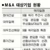 ‘M&A 열전’ 다음 차례는…