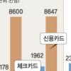 ‘체크카드’ 날개 달았다