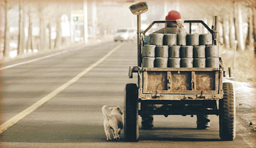 같이 가요~ 연탄배달 경운기를 졸랑졸랑 따라 가는 강아지가 무척 귀엽죠?  (김두희·서울 관악구 봉천4동)  