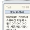 지자체 정보제공 SMS 뜬다