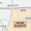 명동 중심상업지역으로 첫 지정