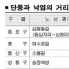 낙엽 따라 낭만을 열매 보며 추억을