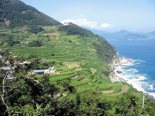 경남 남해군 다랭이마을