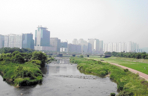 경기 성남시 비오톱