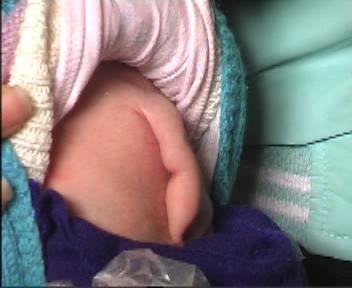 바오바오군의 엉덩이에 난 조그마한 꼬리. 강남도시보