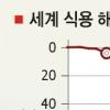 “2050년 생선이 사라진다”