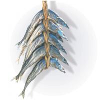 [수출 수산물 맛대맛] 포항 과메기 日 식탁으로