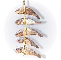 [수출 수산물 맛대맛] 영광 굴비 美 동포에게