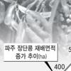 ‘장단콩축제’ 파주 대표잔치 도약