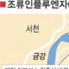 [AI 방역 비상] 발생지 10㎞내 닭·오리 반출입 ‘차단’