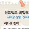 “럼즈펠드, 사임전 이라크전 실패 시인”